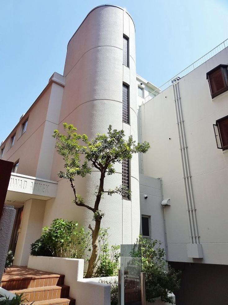 イワオアネックス